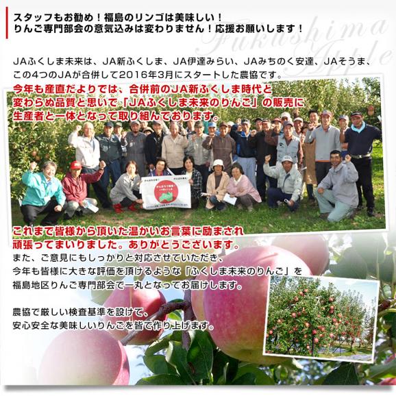 福島県より産地直送 JAふくしま未来 こうとく 秀品 約2.8キロ(10玉から12玉) 送料無料 林檎 リンゴ05