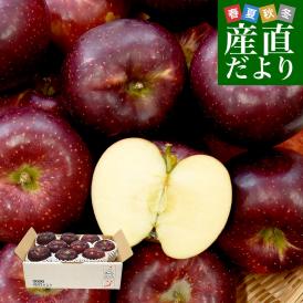 深い赤色が秋に映える、長野県生まれのりんご！濃厚な甘みと爽やかな酸味のベストバランス！