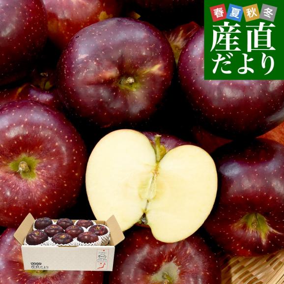 長野県産 りんご「秋映」長野県オリジナル品種 秀品 約2.8キロ(8玉から10玉) 送料無料 林檎 りんご リンゴ ギフト01