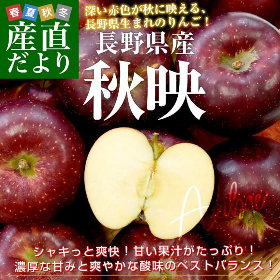 長野県産 りんご「秋映」長野県オリジナル品種 秀品 約2.8キロ(8玉から10玉) 送料無料 林檎 りんご リンゴ ギフト02