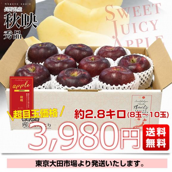 長野県産 りんご「秋映」長野県オリジナル品種 秀品 約2.8キロ(8玉から10玉) 送料無料 林檎 りんご リンゴ ギフト03