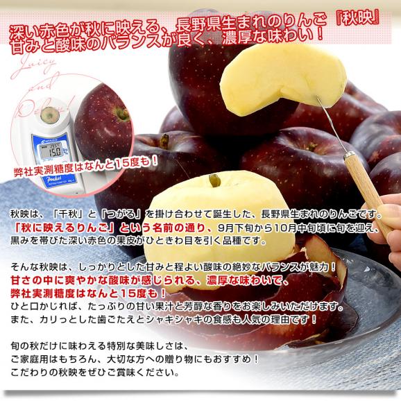 長野県産 りんご「秋映」長野県オリジナル品種 秀品 約2.8キロ(8玉から10玉) 送料無料 林檎 りんご リンゴ ギフト04