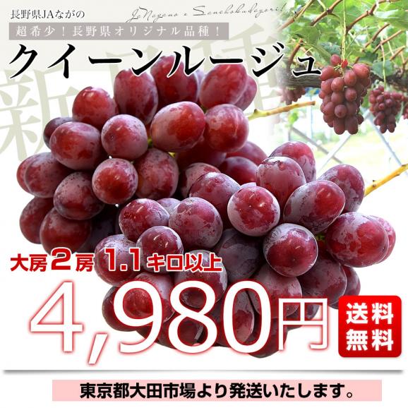 長野県 JAながの クイーンルージュ 1,1キロ以上(大房2房) 送料無料 ブドウ 葡萄 03