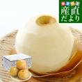 栃木県産 にっこり梨 約2キロ (4玉) 秀品 送料無料　なし　梨　ナシ