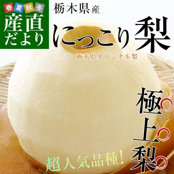 栃木県産 にっこり梨 約2キロ (4玉) 秀品 送料無料　なし　梨　ナシ02