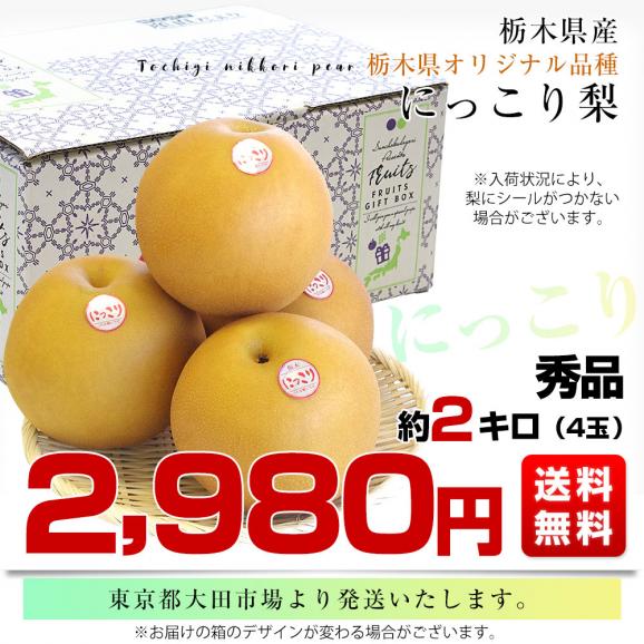 栃木県産 にっこり梨 約2キロ (4玉) 秀品 送料無料　なし　梨　ナシ03