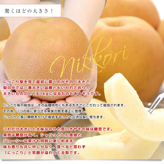 栃木県産 にっこり梨 約2キロ (4玉) 秀品 送料無料　なし　梨　ナシ05