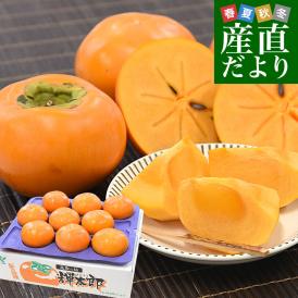 鳥取県 JA全農とっとり 甘柿 輝太郎 青秀品 約3キロ（8玉から11玉）送料無料 柿 かき カキ