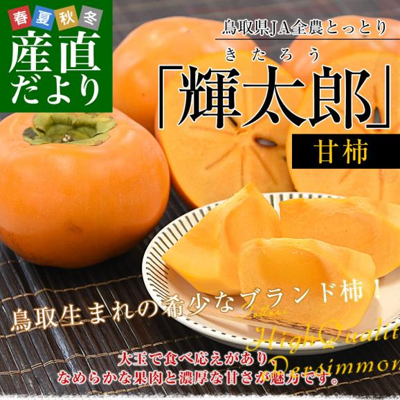 鳥取県 JA全農とっとり 甘柿 輝太郎 青秀品 約3キロ（8玉から11玉）送料無料 柿 かき カキ02