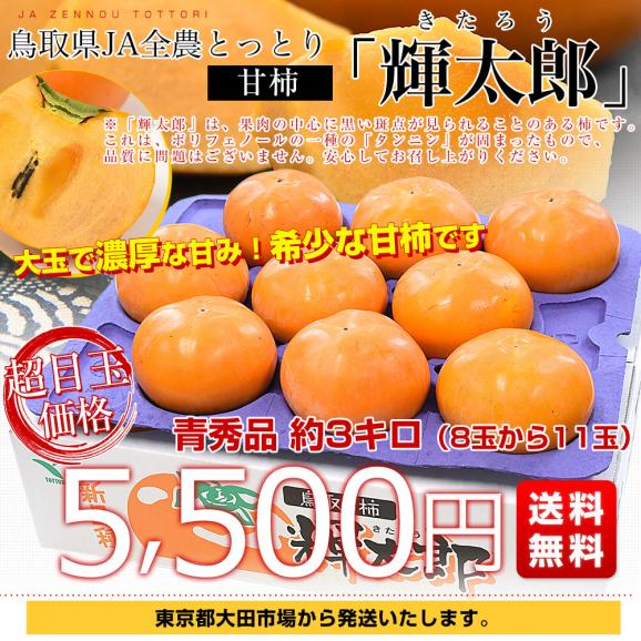 鳥取県 JA全農とっとり 甘柿 輝太郎 青秀品 約3キロ（8玉から11玉）送料無料 柿 かき カキ03