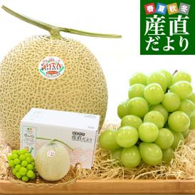 贅沢な味わい！どちらも激甘！大人気シャインマスカットと極上メロンの詰合せ