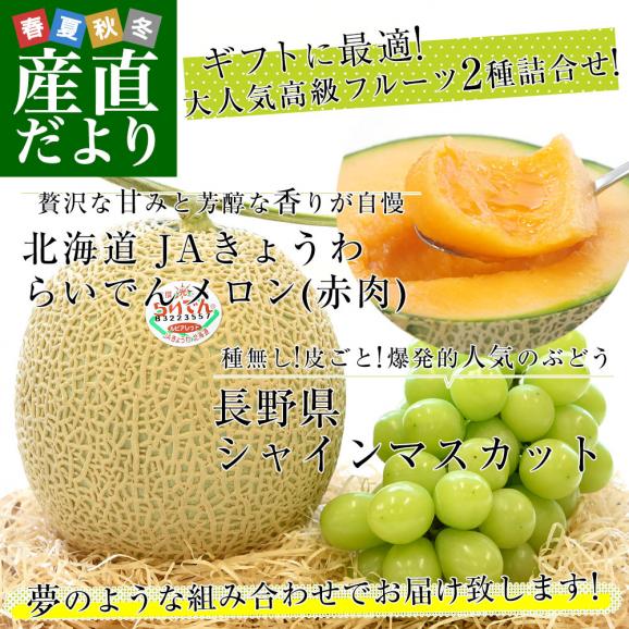 長野県「シャインマスカット」1房（約500g）＆北海道JAきょうわ「らいでんメロン(赤肉)」1玉（約1.5キロ）送料無料 セット ぶどう メロン フルーツギフト クール便02