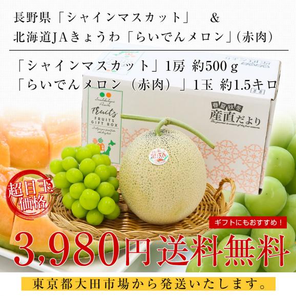 長野県「シャインマスカット」1房（約500g）＆北海道JAきょうわ「らいでんメロン(赤肉)」1玉（約1.5キロ）送料無料 セット ぶどう メロン フルーツギフト クール便03
