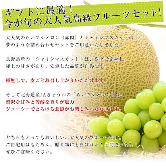 長野県「シャインマスカット」1房（約500g）＆北海道JAきょうわ「らいでんメロン(赤肉)」1玉（約1.5キロ）送料無料 セット ぶどう メロン フルーツギフト クール便04