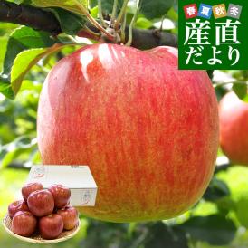 長野県産 JAながの 志賀高原のシナノスイートご家庭用　約3キロ(9玉から12玉)　送料無料 林檎　りんご　リンゴ