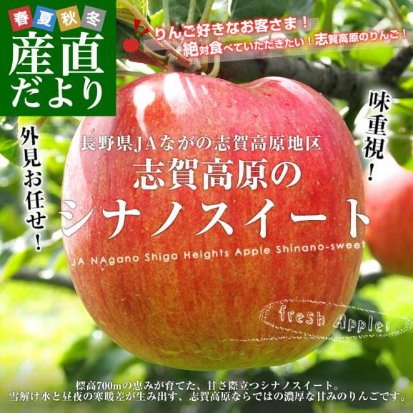 長野県産 JAながの 志賀高原のシナノスイートご家庭用　約3キロ(9玉から12玉)　送料無料 林檎　りんご　リンゴ02
