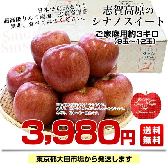 長野県産 JAながの 志賀高原のシナノスイートご家庭用　約3キロ(9玉から12玉)　送料無料 林檎　りんご　リンゴ03