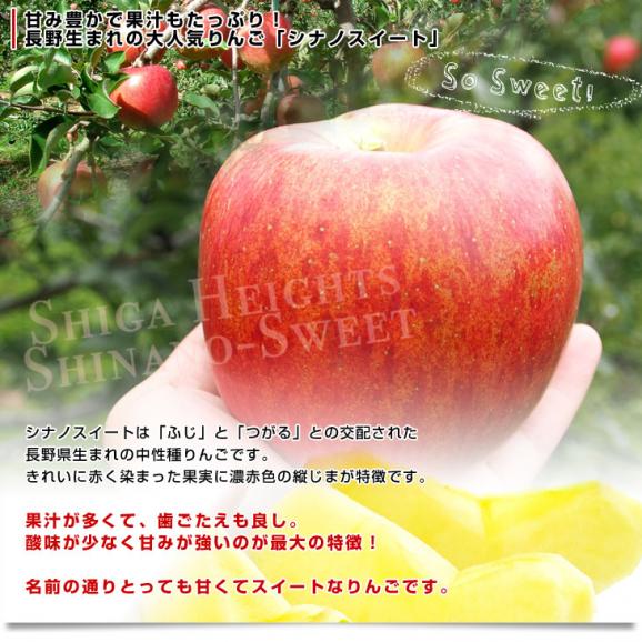 長野県産 JAながの 志賀高原のシナノスイートご家庭用　約3キロ(9玉から12玉)　送料無料 林檎　りんご　リンゴ04