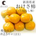 送料無料　新潟県産　おけさ柿　（たねなし柿）　Lサイズ　約2.5キロ　（13玉）　たねなし柿　おけさがき　オケサカキ