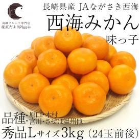 送料無料　長崎県産　ＪＡながさき西海　西海みかん　味っ子　Lサイズ3キロ （秀品）　みかん、早生みかん