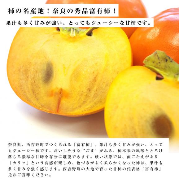 送料無料　奈良県産　富有柿　3L　3.5キロ　（11玉）　 柿　ふゆうがき04