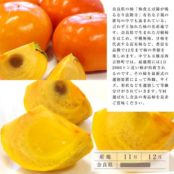 送料無料　奈良県産　富有柿　3L　3.5キロ　（11玉）　 柿　ふゆうがき05