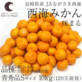 送料無料　長崎県産　ＪＡながさき西海　西海みかん　味まる　Sサイズ10キロ （青秀品）　みかん、早生みかん