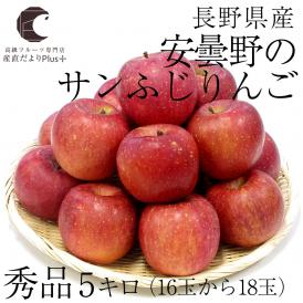 長野産　安曇野のサンふじりんご（秀品）　約5キロ（16玉から18玉） 　林檎　サンふじ　ふじ