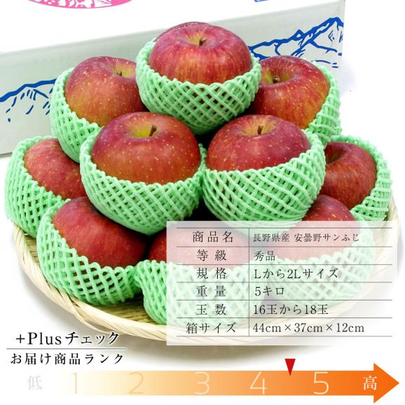 長野産　安曇野のサンふじりんご（秀品）　約5キロ（16玉から18玉） 　林檎　サンふじ　ふじ02