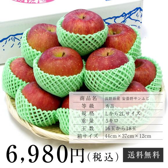 長野産　安曇野のサンふじりんご（秀品）　約5キロ（16玉から18玉） 　林檎　サンふじ　ふじ05