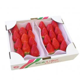 栃木県産 スカイベリー DXタイプ　1箱  (300g×2パック)  (6粒から12粒×２P) 送料無料 いちご 苺