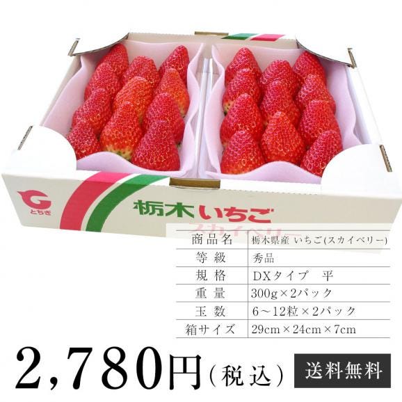 栃木県産 スカイベリー DXタイプ　1箱  (300g×2パック)  (6粒から12粒×２P) 送料無料 いちご 苺06