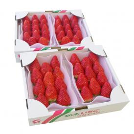 栃木県産 スカイベリー DXタイプ 2箱 合計1.2キロ (300g×4パック)  (6粒から12粒×4P) 送料無料 いちご 苺