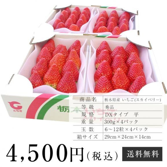 栃木県産 スカイベリー DXタイプ 2箱 合計1.2キロ (300g×4パック)  (6粒から12粒×4P) 送料無料 いちご 苺06