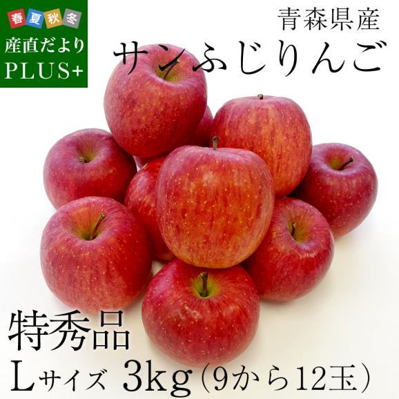 青森県産 サンふじりんご 特秀品 Lサイズ　3キロ (9玉から12玉)　送料無料 ふじりんご　林檎