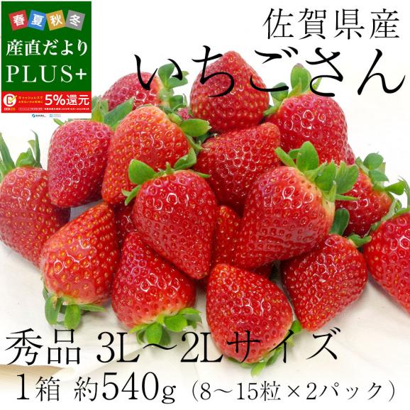 佐賀県産 新 ブランド苺 いちごさん 秀品 ３Lから２Lサイズ 1箱 約540g (270g×2パック） 送料無料 イチゴ02