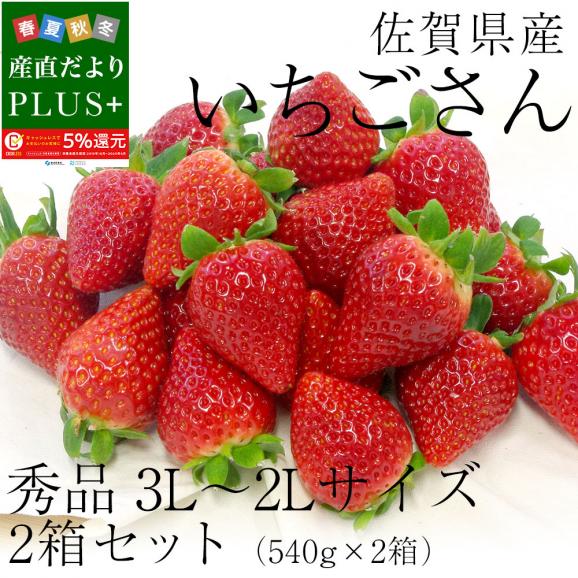 佐賀県産 新ブランド苺 いちごさん 秀品 ３Lから２Lサイズ ２箱セット 　(約540g×2箱) 送料無料 イチゴ02