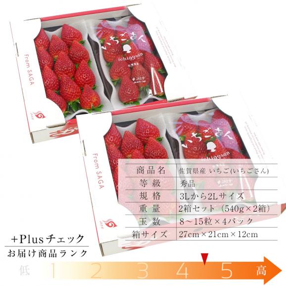 佐賀県産 新ブランド苺 いちごさん 秀品 ３Lから２Lサイズ ２箱セット 　(約540g×2箱) 送料無料 イチゴ03
