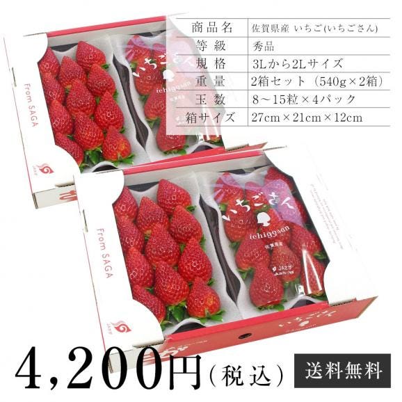 佐賀県産 新ブランド苺 いちごさん 秀品 ３Lから２Lサイズ ２箱セット 　(約540g×2箱) 送料無料 イチゴ06