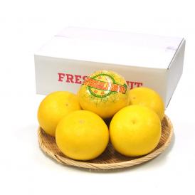 高知県産 土佐文旦(とさぶんたん) 秀品 ３Lサイズ 2.5キロ (5から6玉) 送料無料 柑橘 ぶんたん とさ