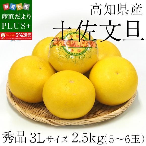 高知県産 土佐文旦(とさぶんたん) 秀品 ３Lサイズ 2.5キロ (5から6玉) 送料無料 柑橘 ぶんたん とさ02