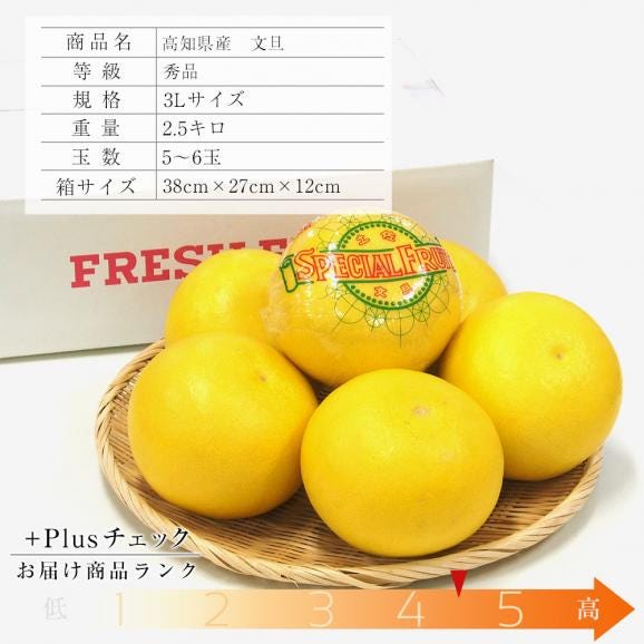 高知県産 土佐文旦(とさぶんたん) 秀品 ３Lサイズ 2.5キロ (5から6玉) 送料無料 柑橘 ぶんたん とさ03