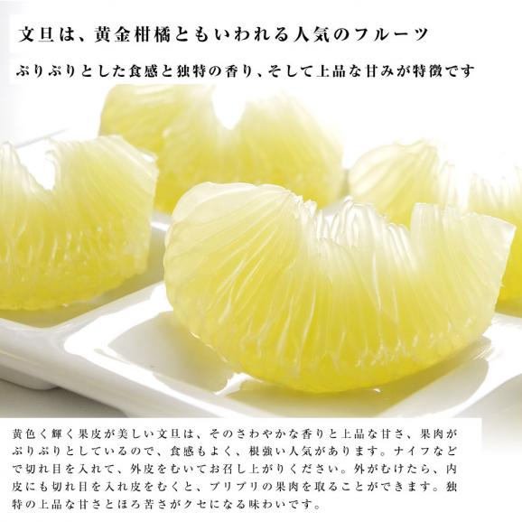高知県産 土佐文旦(とさぶんたん) 秀品 ３Lサイズ 2.5キロ (5から6玉) 送料無料 柑橘 ぶんたん とさ04