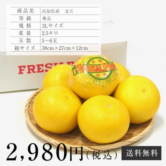 高知県産 土佐文旦(とさぶんたん) 秀品 ３Lサイズ 2.5キロ (5から6玉) 送料無料 柑橘 ぶんたん とさ06