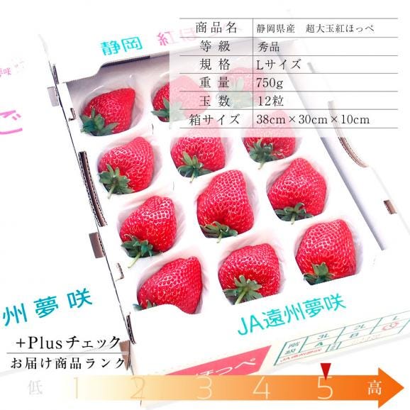 送料無料　静岡県産　紅ほっぺ　秀品　超大玉　750g前後 （12粒）　苺　いちご　イチゴ03