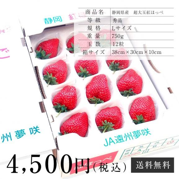 送料無料　静岡県産　紅ほっぺ　秀品　超大玉　750g前後 （12粒）　苺　いちご　イチゴ06