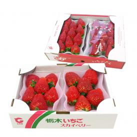 栃木県産スカイベリーと佐賀県産いちごさんの大人気いちご2箱セット (スカイベリー600gといちごさん540g）送料無料イチゴ 苺
