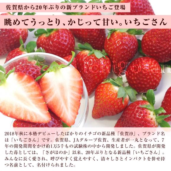 栃木県産スカイベリーと佐賀県産いちごさんの大人気いちご2箱セット (スカイベリー600gといちごさん540g）送料無料イチゴ 苺05