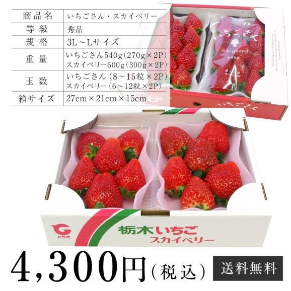 栃木県産スカイベリーと佐賀県産いちごさんの大人気いちご2箱セット (スカイベリー600gといちごさん540g）送料無料イチゴ 苺06