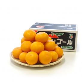 送料無料　愛媛県産　三崎の清見オレンジ　特秀品　2Lサイズ　5キロ箱　（23玉前後） 清見　柑橘　オレンジ